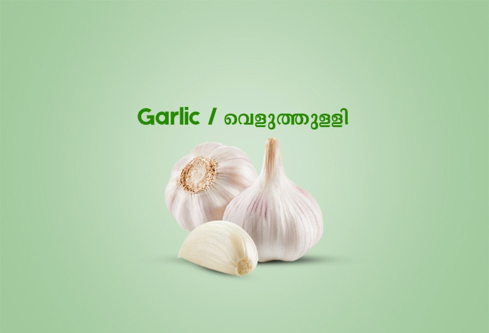 Garlic / വെളുത്തുള്ളി (500.00 gm)